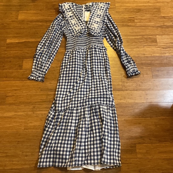 Sea New York Gina Blue and White Gingham Maxi Dress - Picture 9 of 12